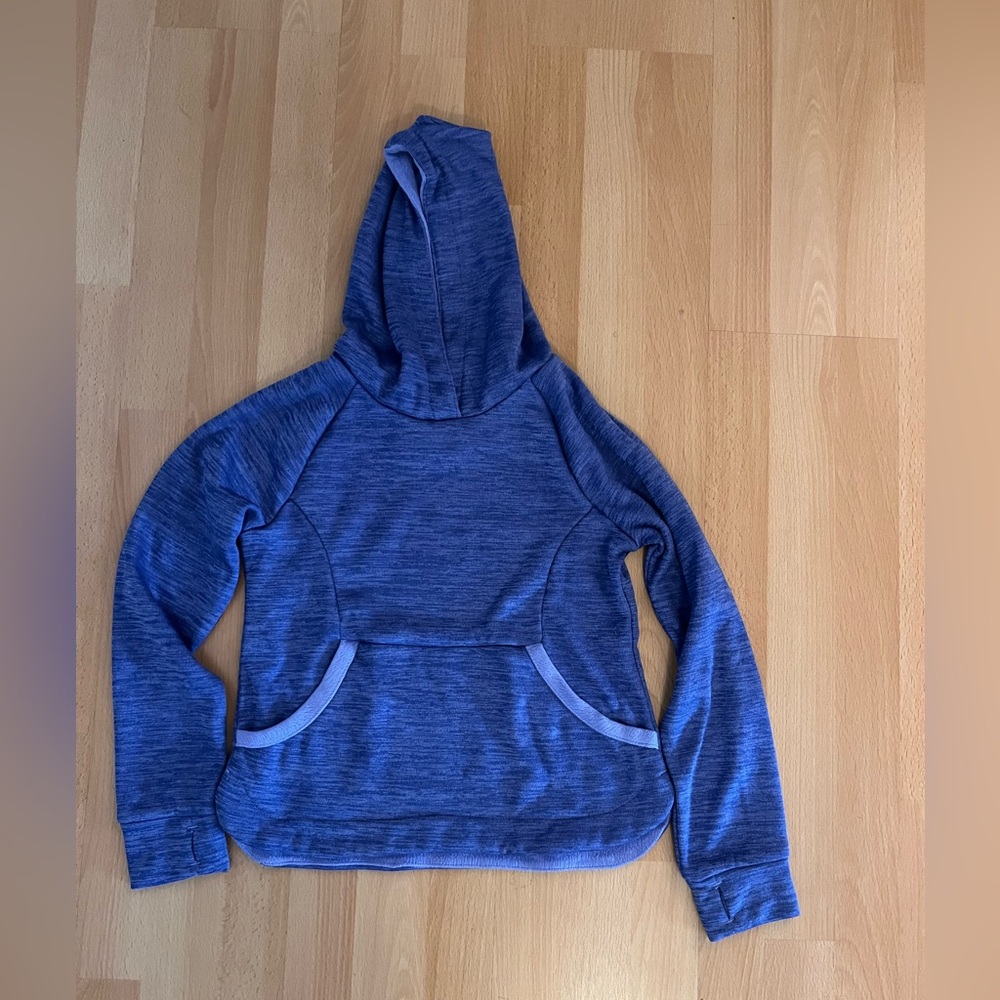 Champion Women's Heathered Blue Hoodie